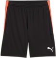 IndividualLIGA Train Short