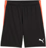 IndividualLIGA Train Short