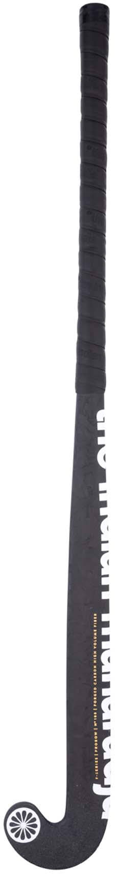 F-100 Pbow hockeystick
