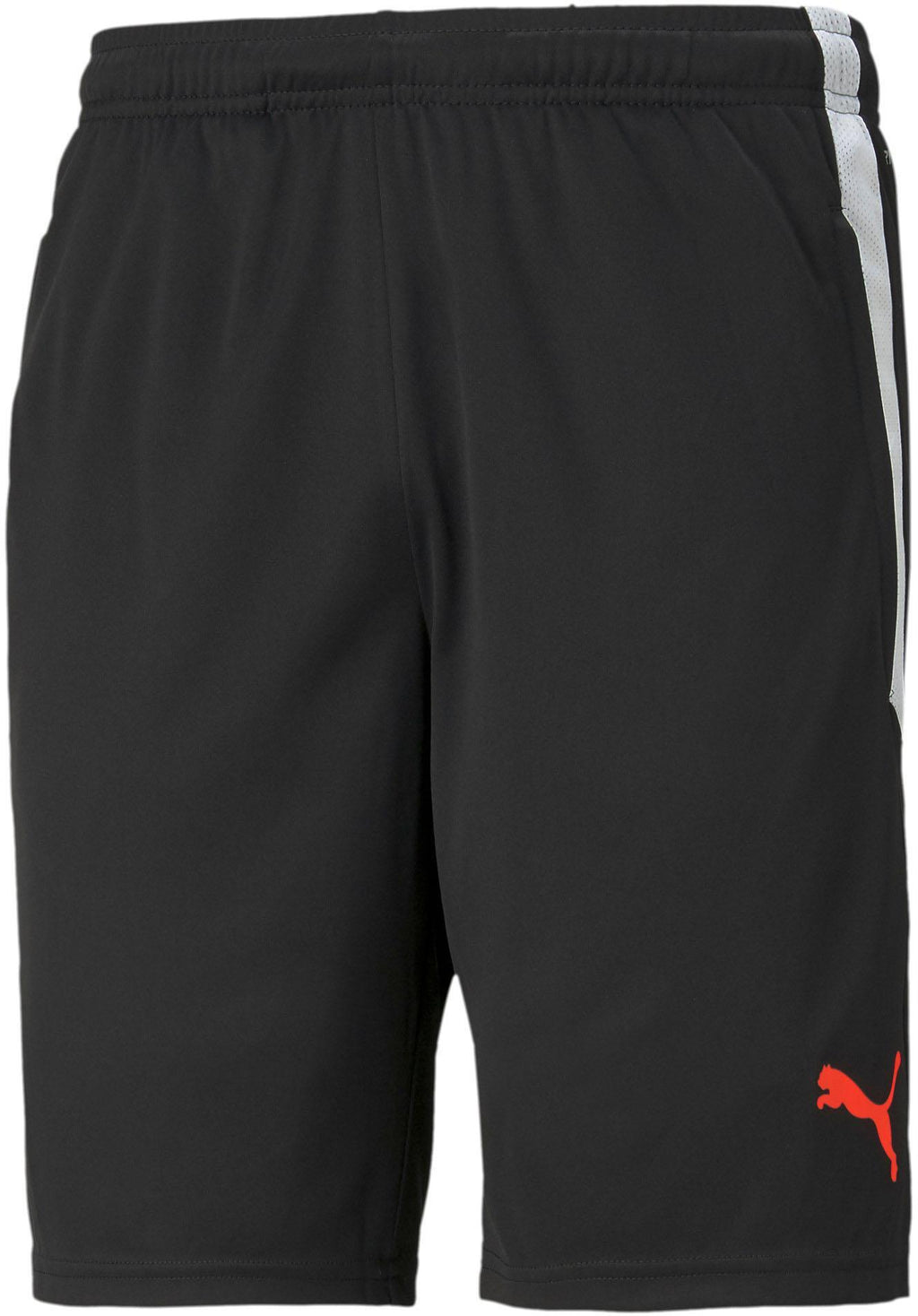 teamLIGA Training Shorts