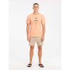 Prtgraig Shorts