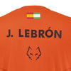 replica lebron