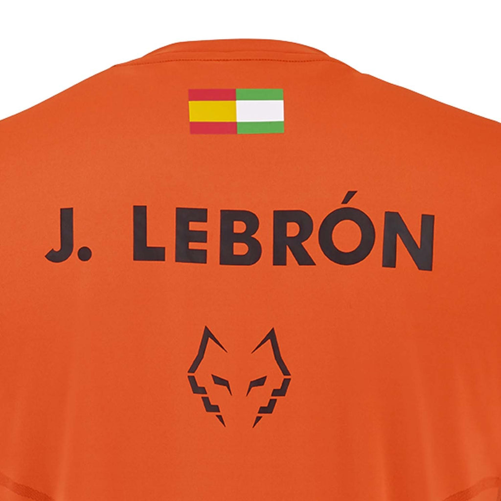 replica lebron