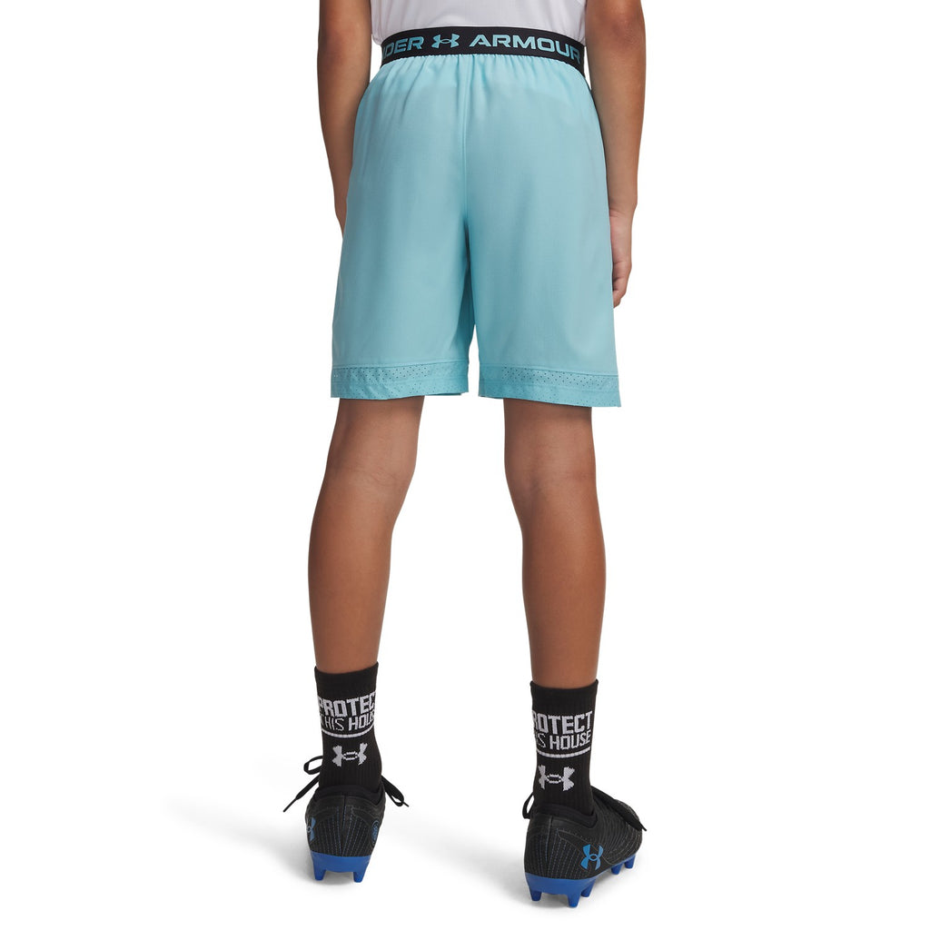 Vanish Shorts