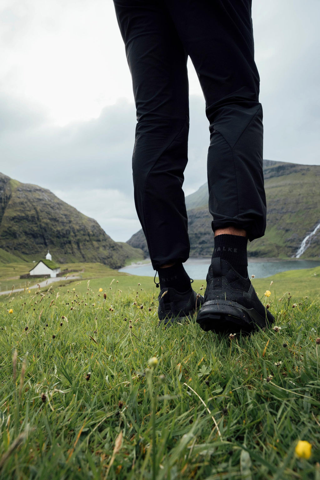 FALKE TK5 Wander Wool Short Men Trekking