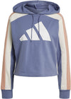 W TS BIG LOGODa. Jogger mit Kapuze
