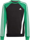 Colorblock Sweatshirt