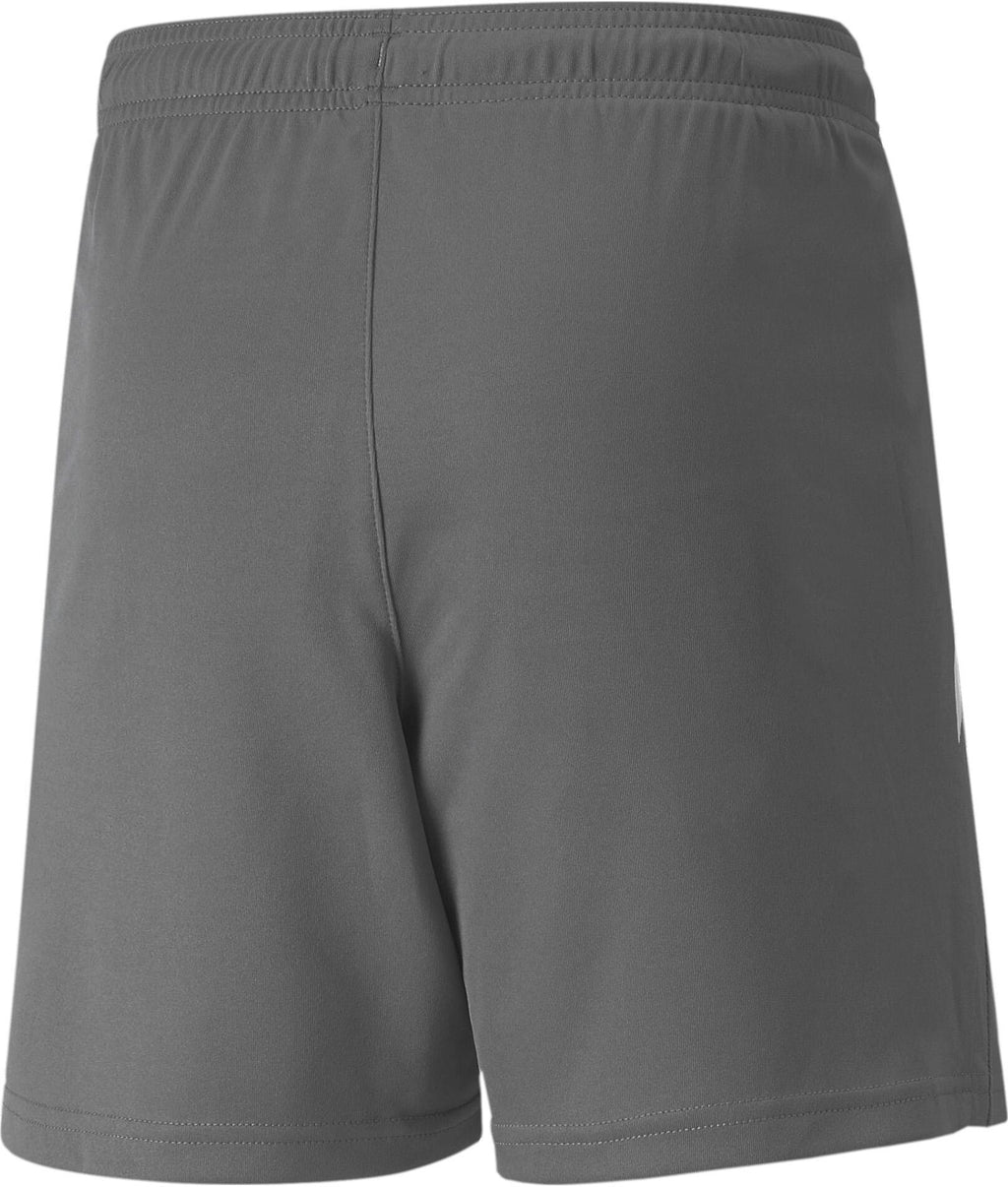 teamLIGA Shorts Short 100%PES