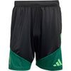 Mexico Training Shorts