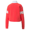 Puma Power Half-zip Crew