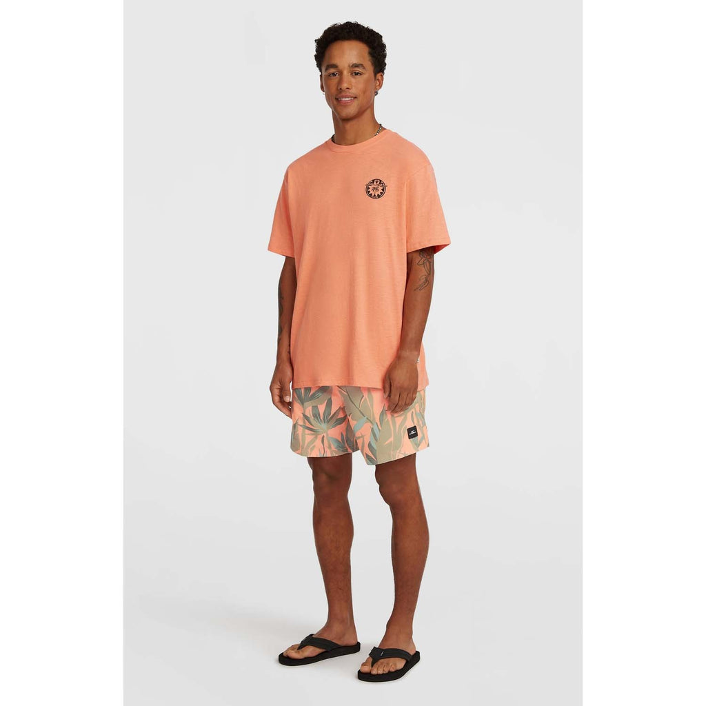 Print 16 Zwemshort