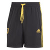 Juventus DNA short