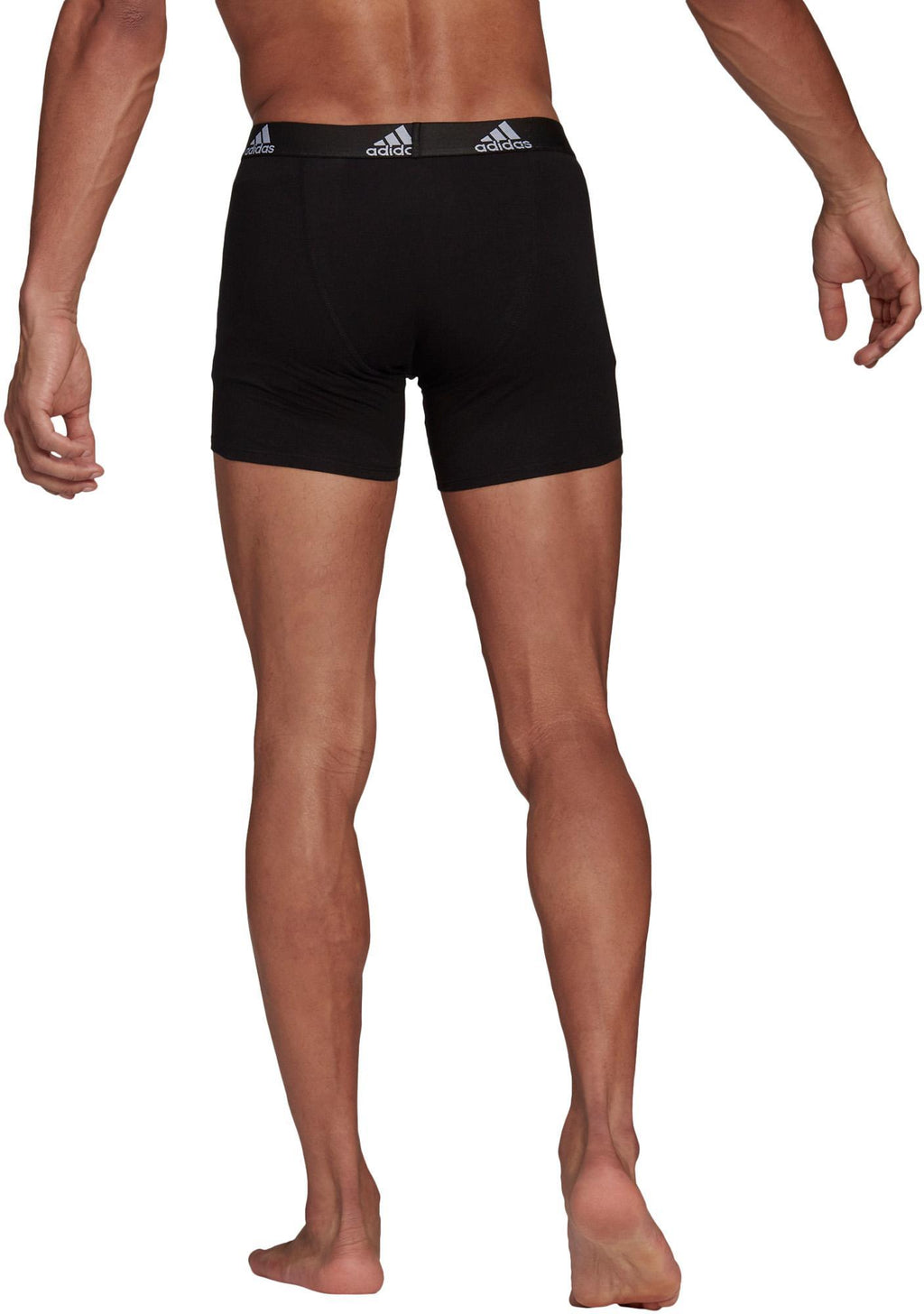 Bos Brief 3pp