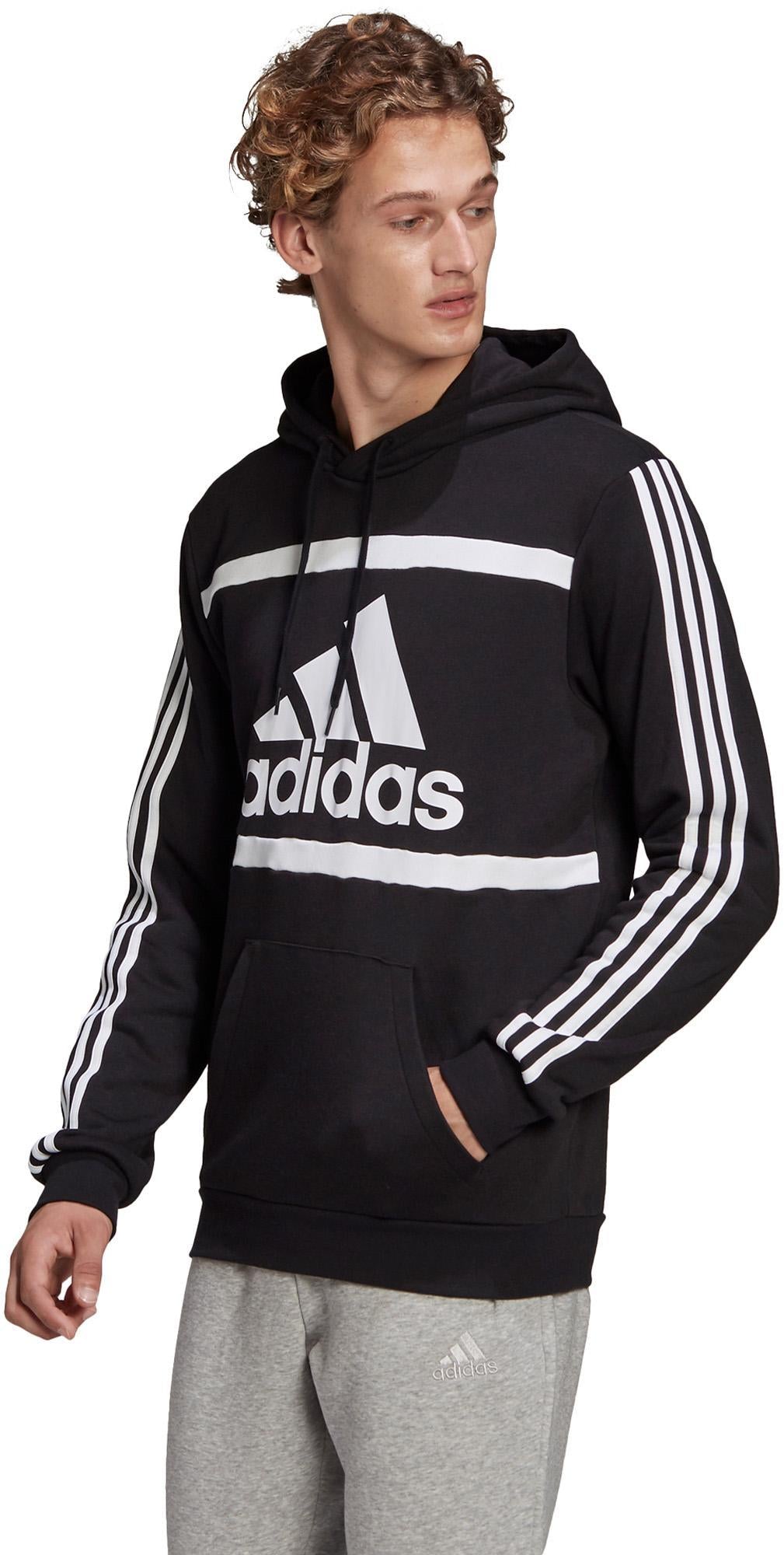 Essentials Logo Colorblock Hoodie