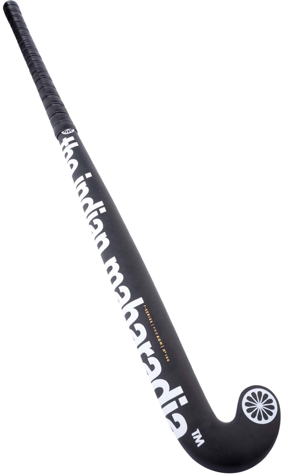 F-100 Pbow hockeystick
