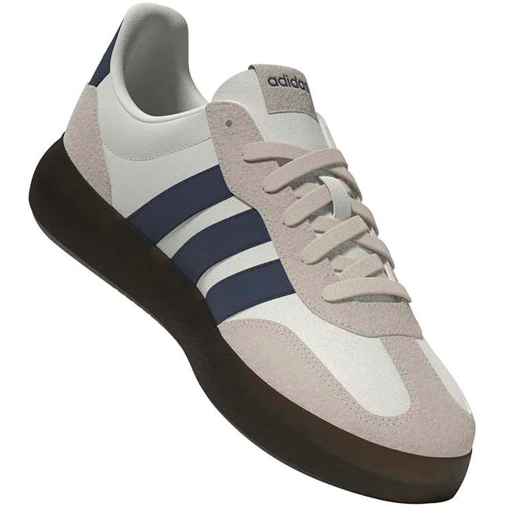BARREDA DECODE SCHOENEN