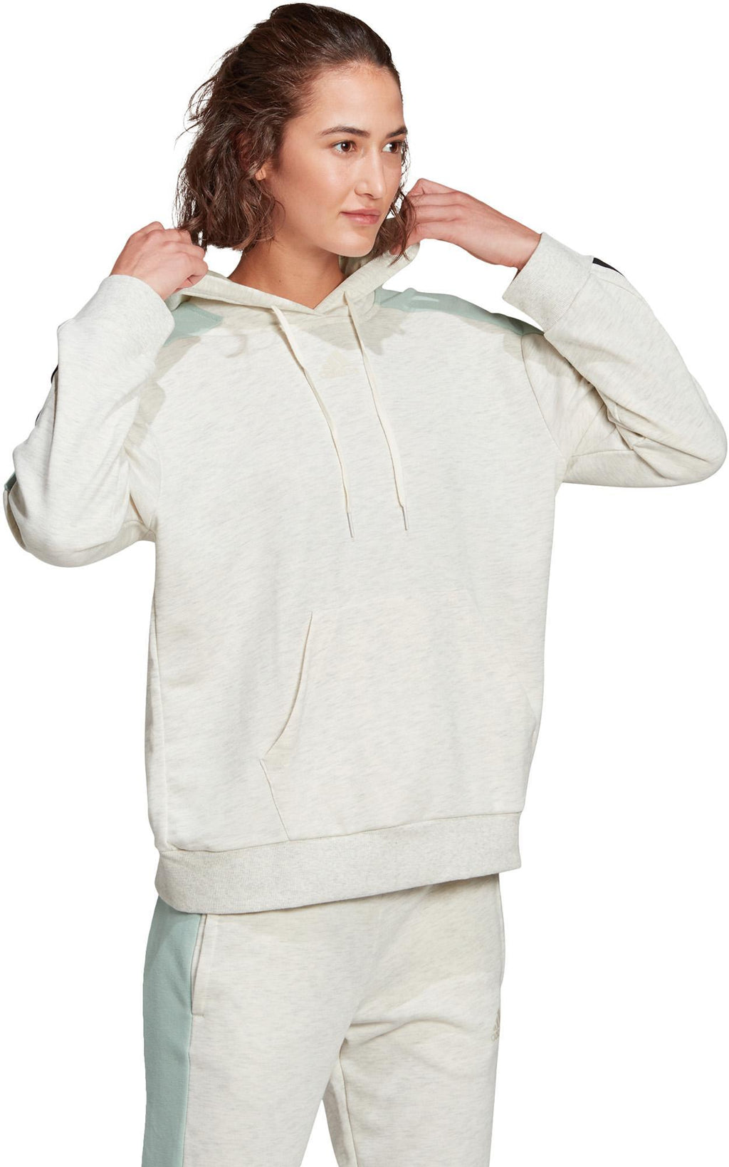 Essentials Logo Colorblock Hoodie