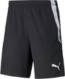 TeamLIGA trainingsshort