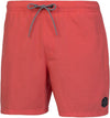 dave beachshort
