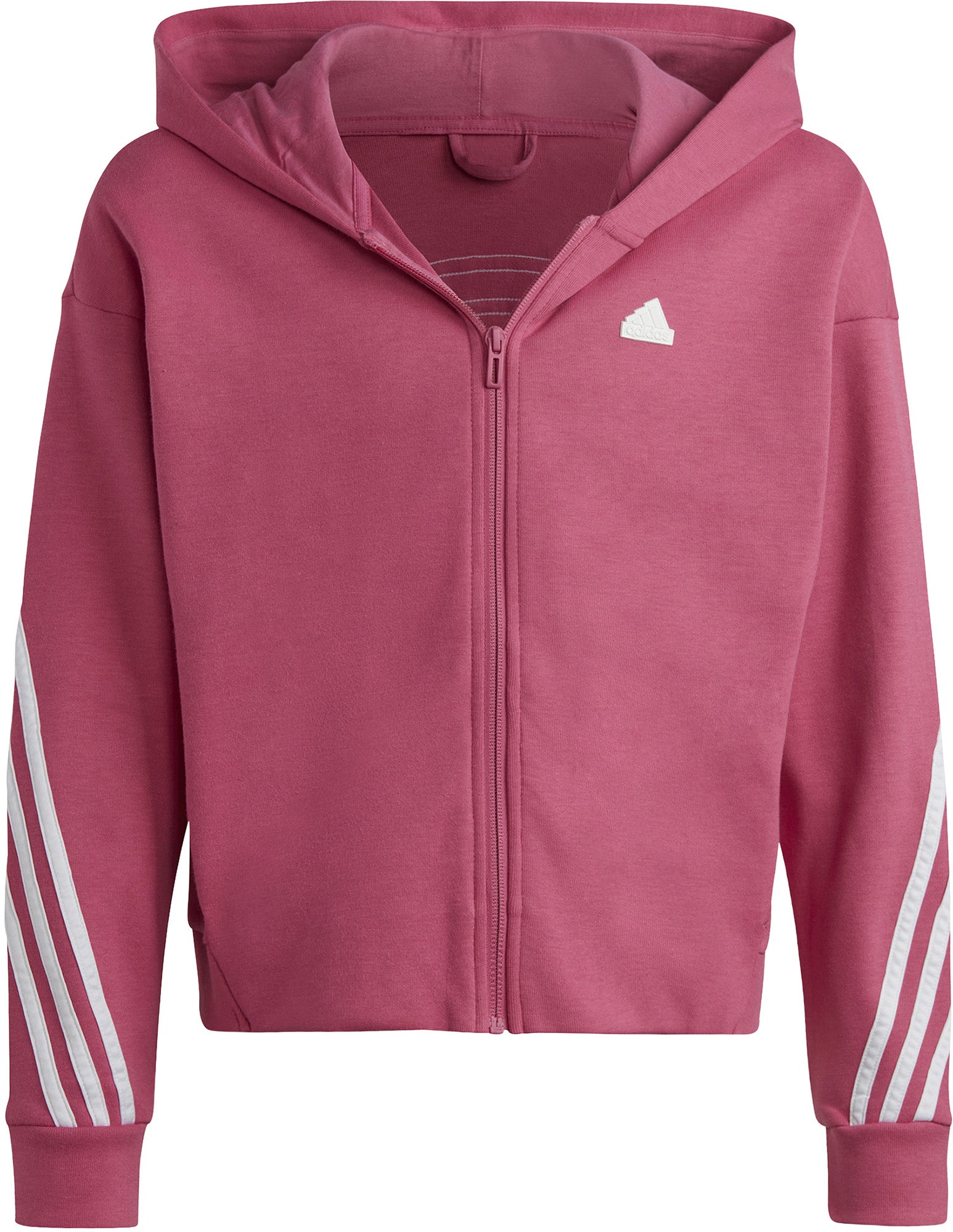 Future Icons 3-Stripes ritshoodie