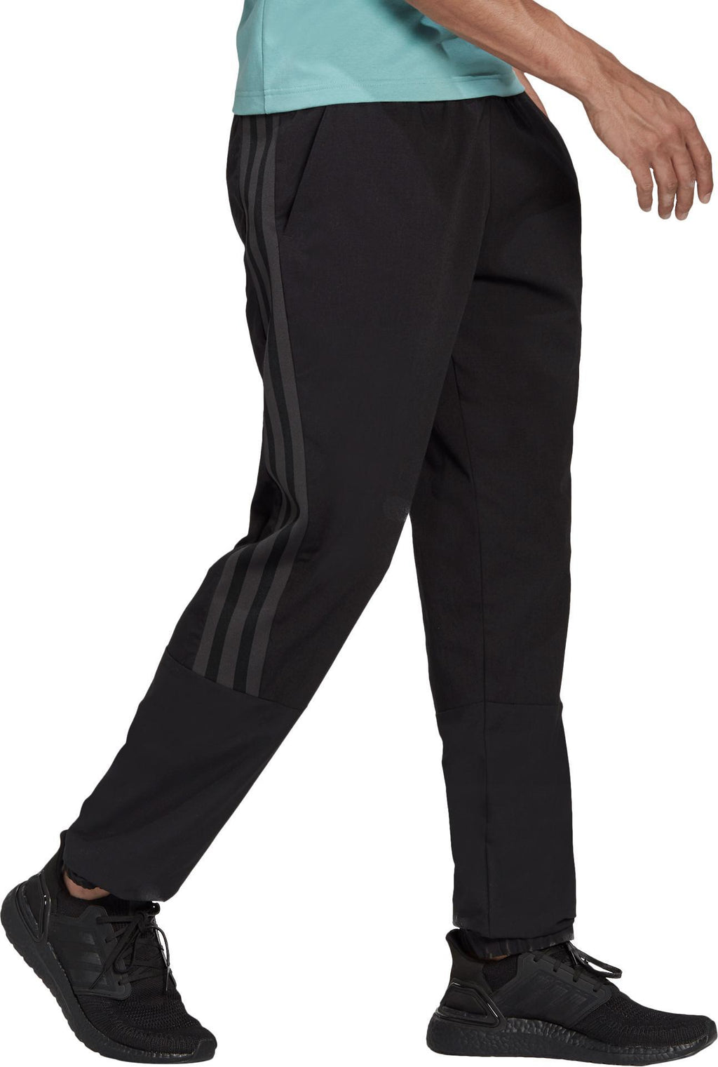 FI WV Pant
