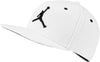 Jordan Pro Jumpman pet