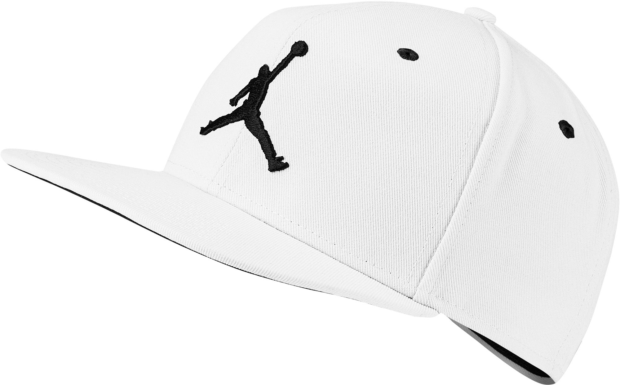 Jordan Pro Jumpman pet