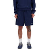 ms41520-nny short
