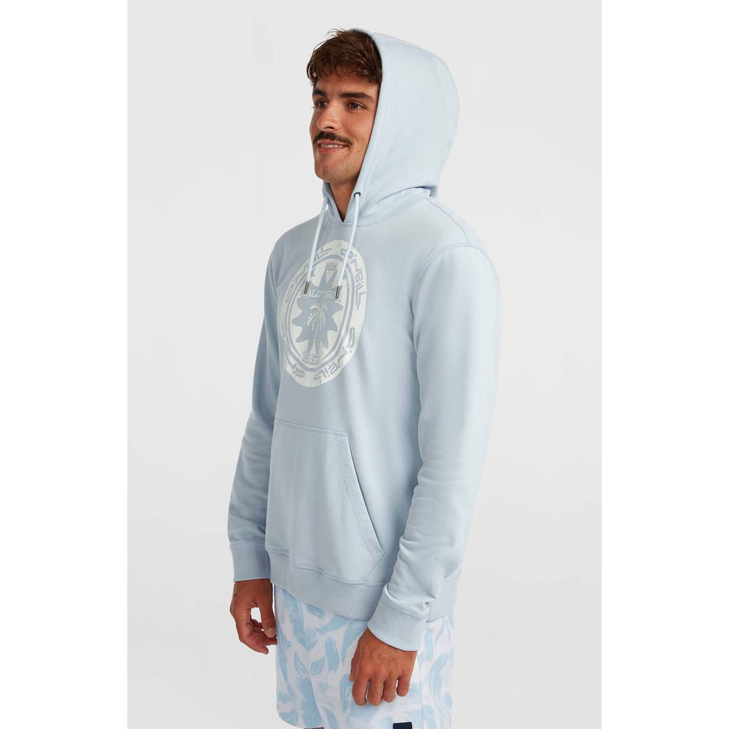 Musthave Graphic Hoodie