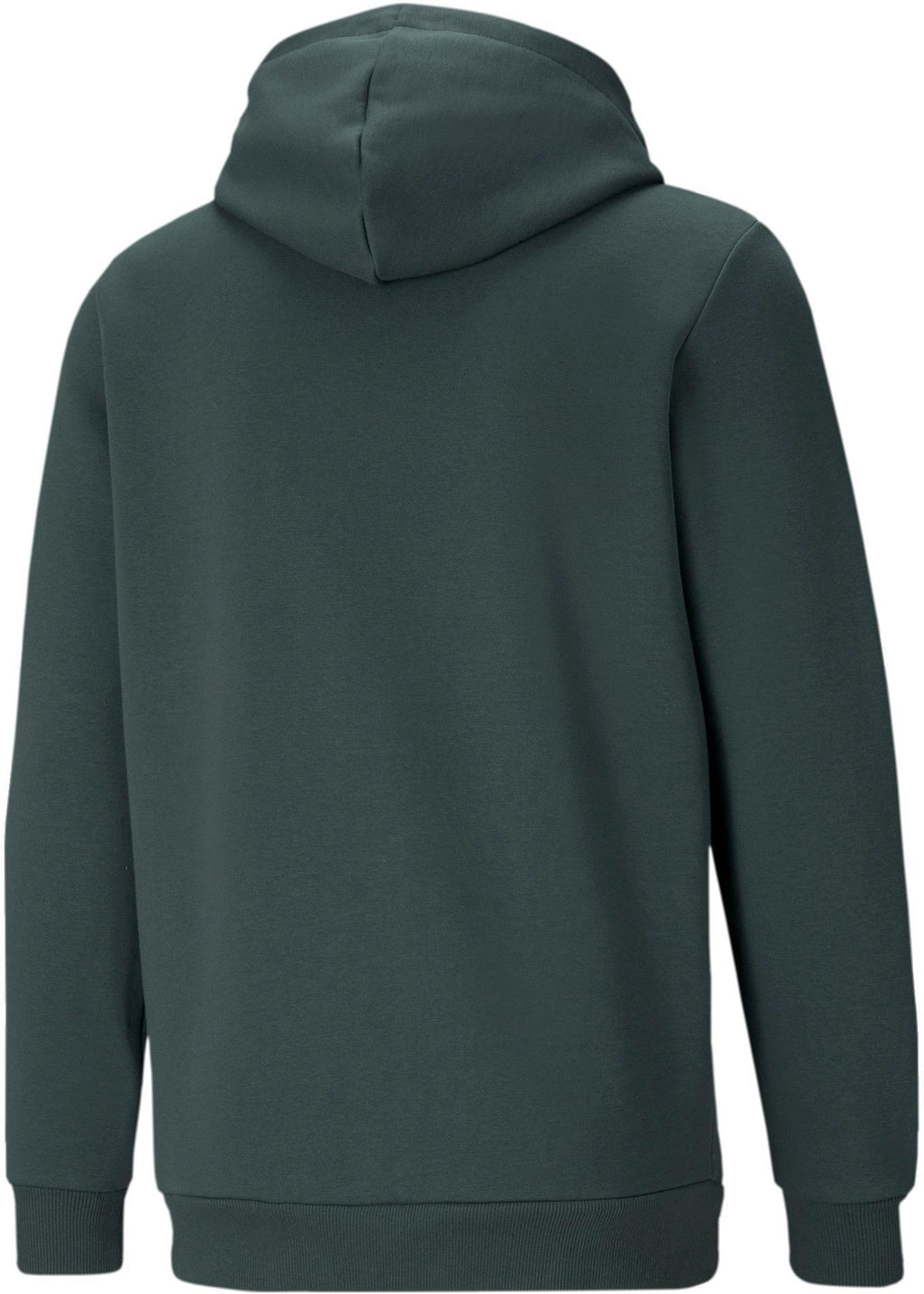 Ess+ 2 Col Big Logo Hoodie