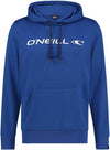 Pm Rutile Oth Fleece Hoodie