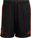Ajax 3rd Sho