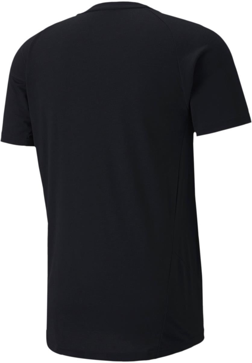 evostripe tee
