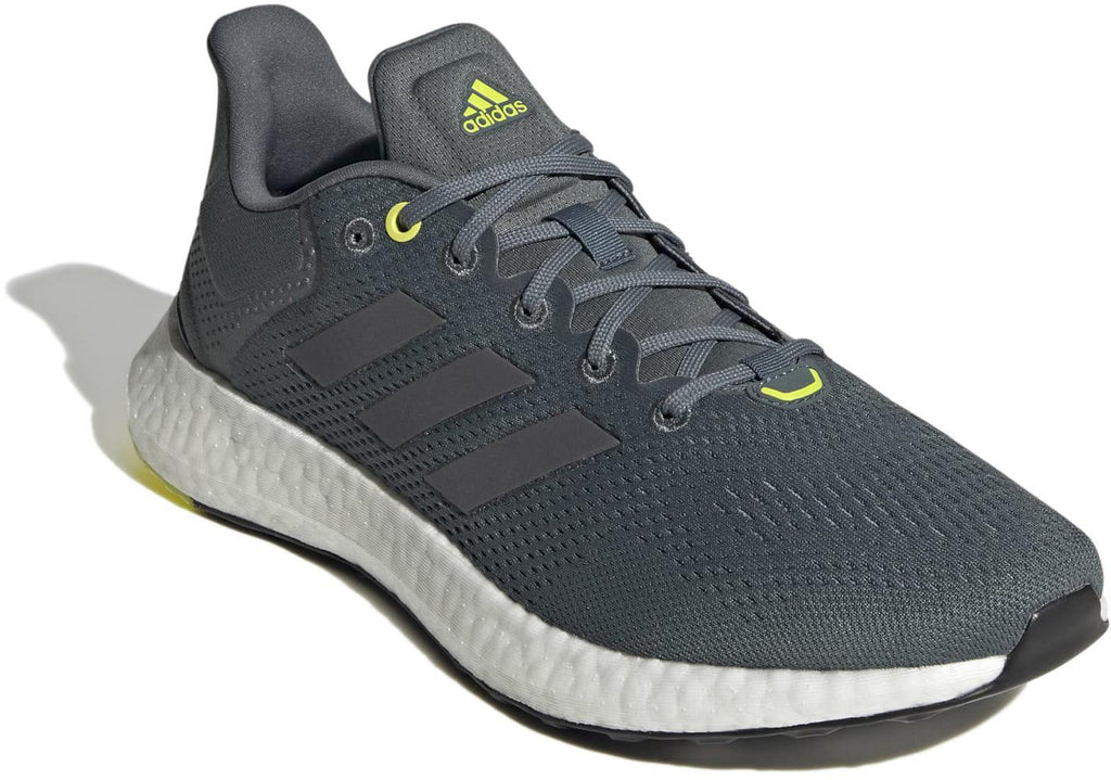 Pureboost 21