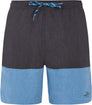 Prtfreddie Beachshort