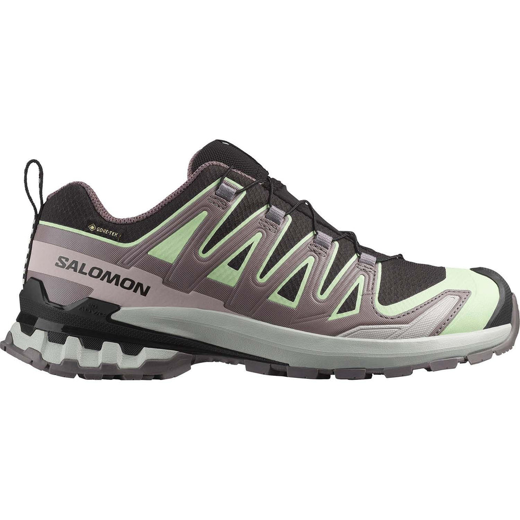 xa pro 3d v9 gore-tex w