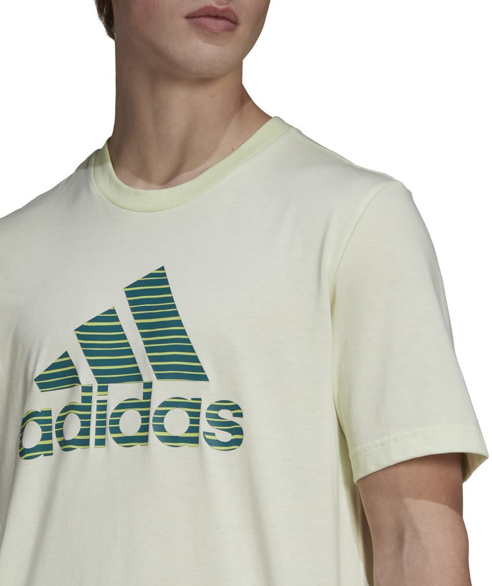 SP SD T