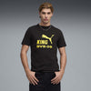 Bvb King Logo Tee trainingsshirt voetbal