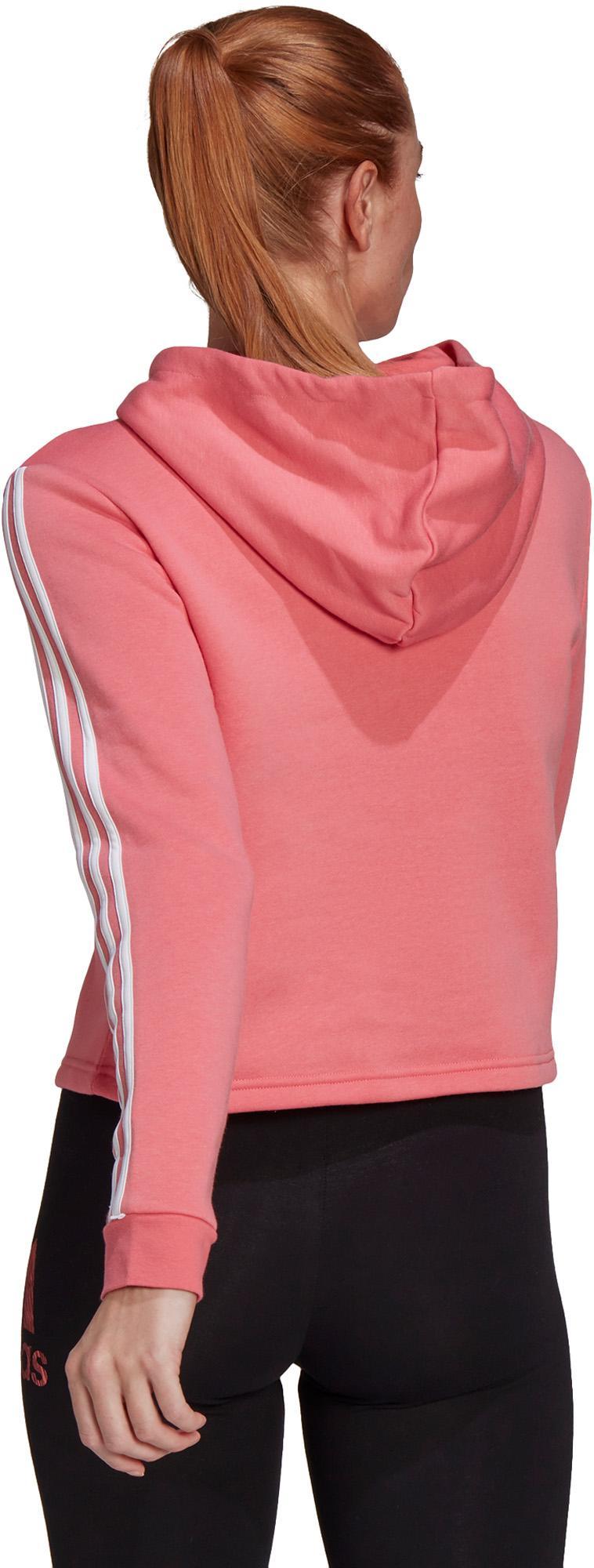 Essentials Logo Colorblock Fleece Cropped Hoodie