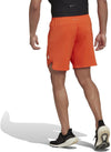 Designed for Training short