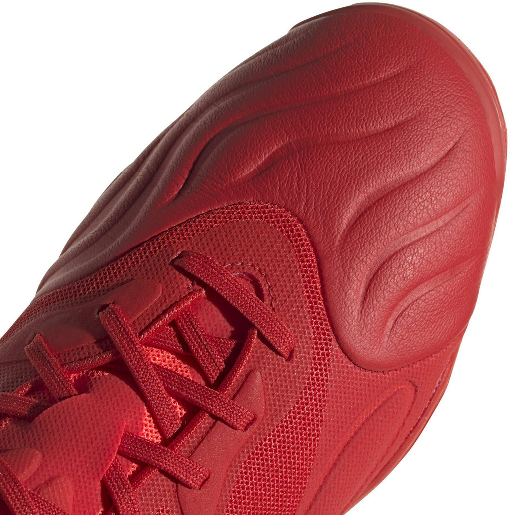 Copa Sense.1 In Sala