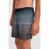Logo Stripe 16 Zwemshort