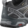 Shoes X Ultra 3 Gtx Burnt Brick/black/bl
