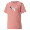 Evostripe Tee
