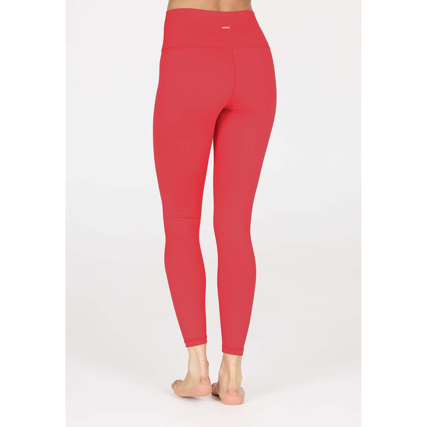 bloom w tights