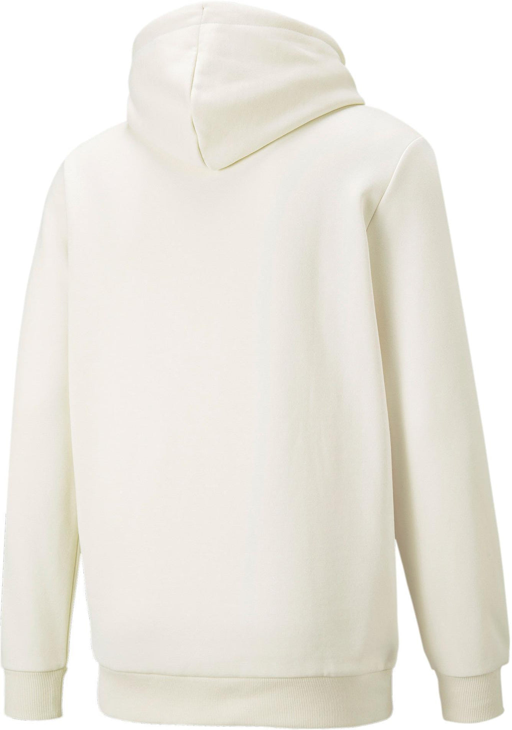 Ess+ 2 Col Big Logo Hoodie