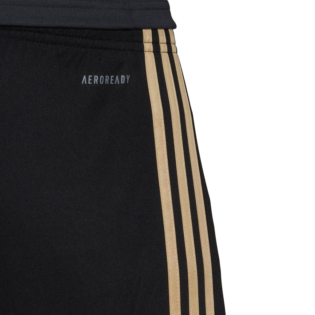 ajax 3rd sho