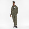 Ess+ 2 Col Big Logo Hoodie