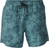 Bru-conic-ao Men Swim Shorts