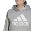 AEROREADY Big Logo hoodie (Grote Maat)